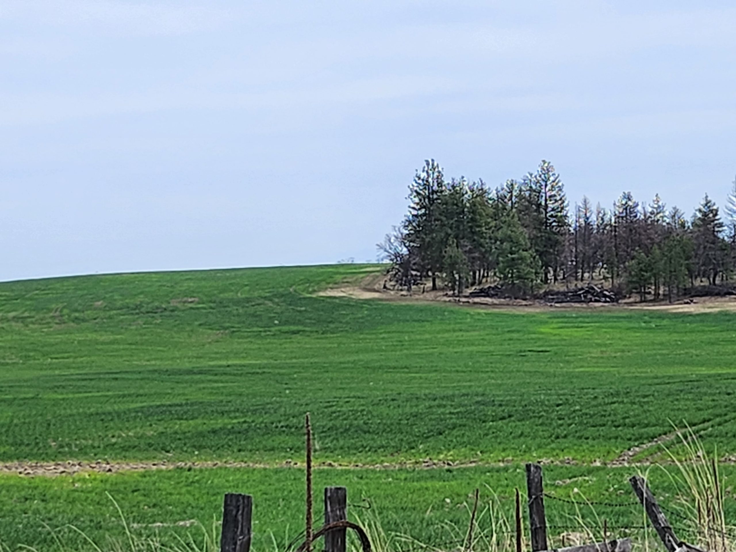 Hunting, Farming and Recreational Land