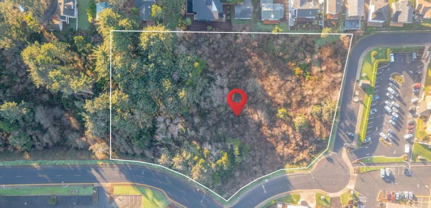 Lincoln City ocean view commercially developable land