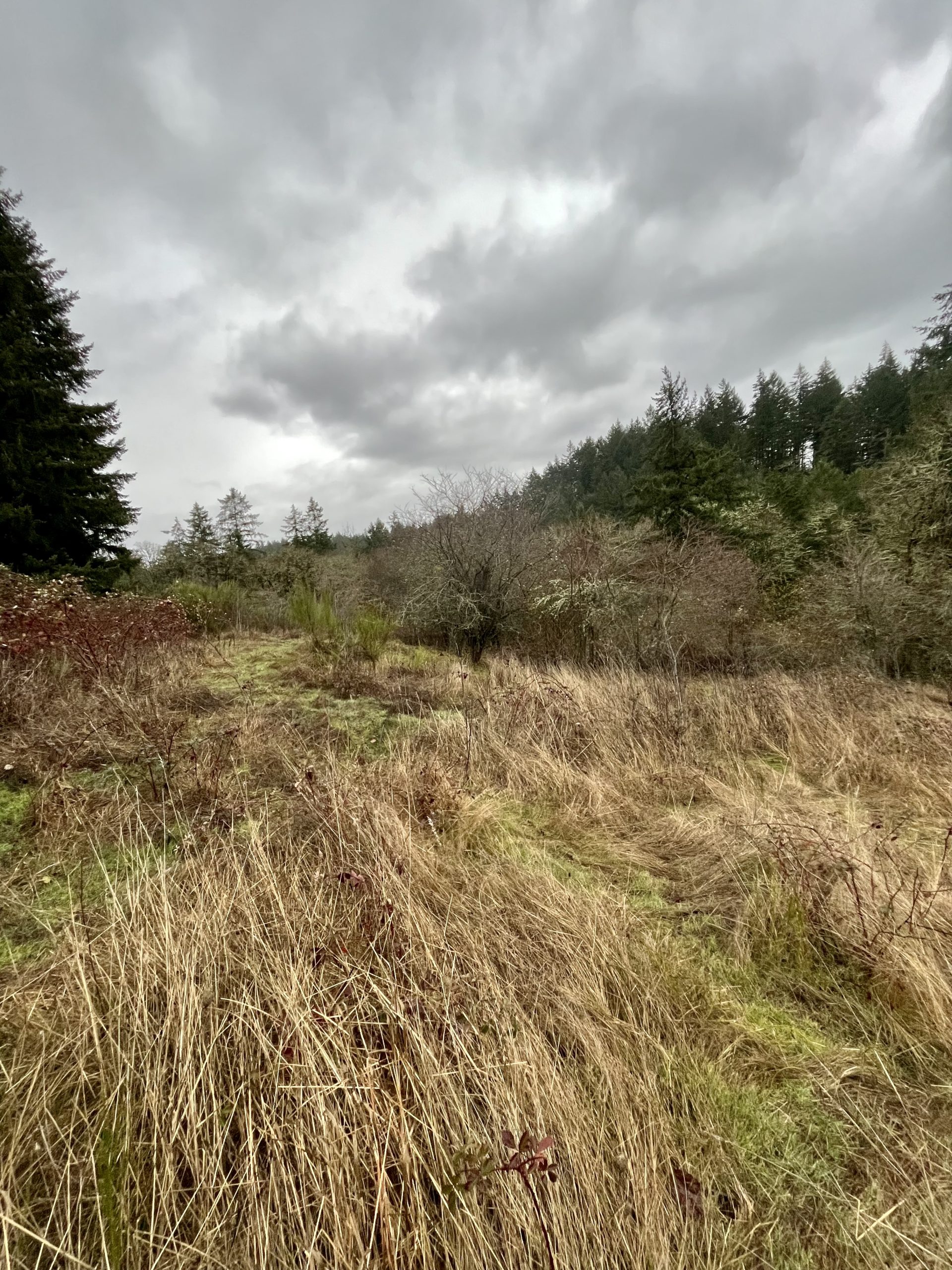 South Salem Buildable Lots