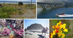 Oceanfront Development Land – Gold Beach