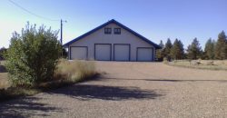 Barndo, Fortress, Ranchette 20 Acres, Fly-in Ready, Prepper/Survival,…