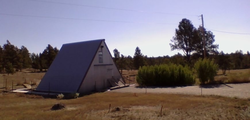 Barndo, Fortress, Ranchette 20 Acres, Fly-in Ready, Prepper/Survival,…