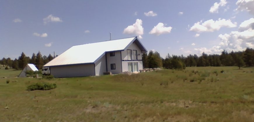 Barndo, Fortress, Ranchette 20 Acres, Fly-in Ready, Prepper/Survival,…